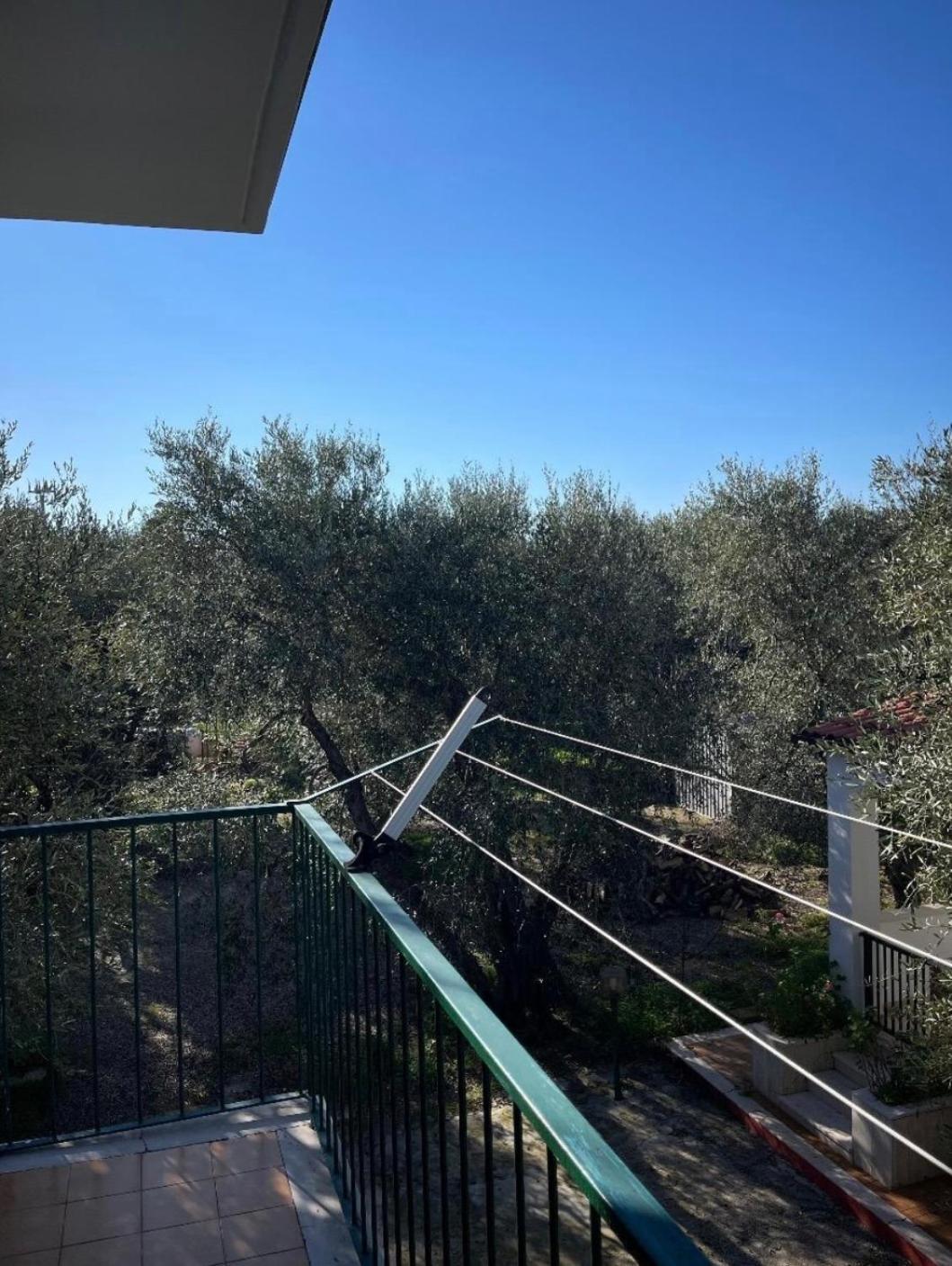 Villa Margherita Vieste Exterior photo